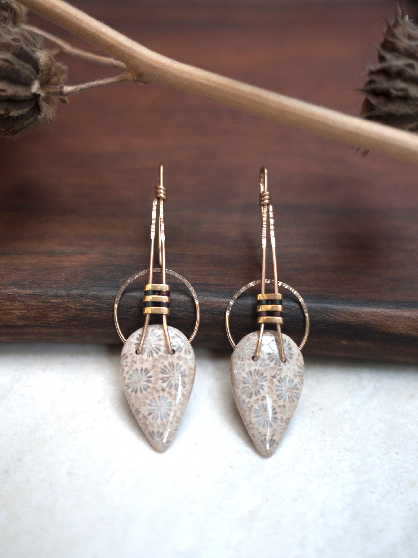 Fossil Coral Earrings - In Gold Fill