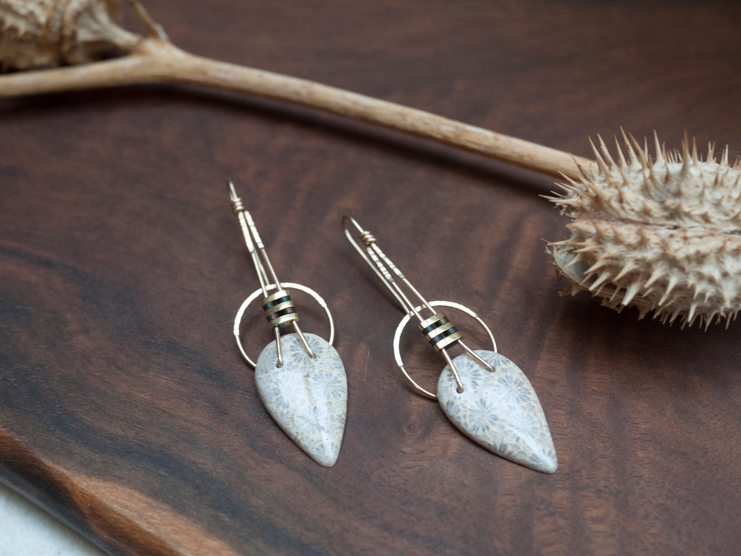 Fossil Coral Earrings - In Gold Fill