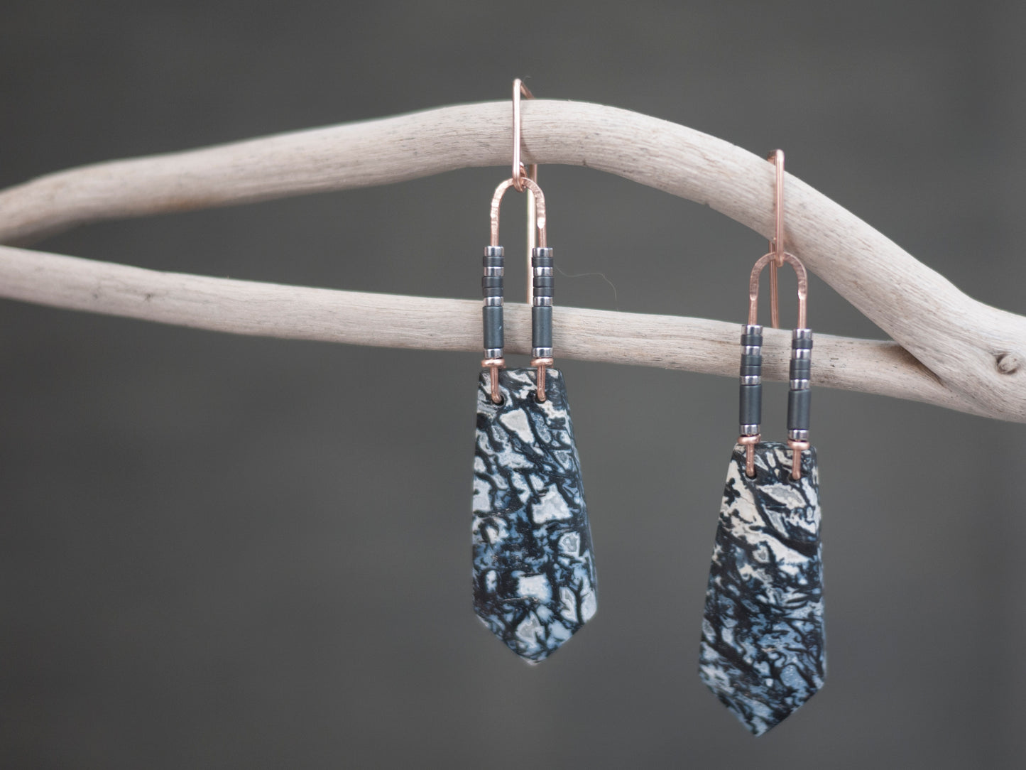 Petrified Black/Blue Palmwood Dangle Earrings