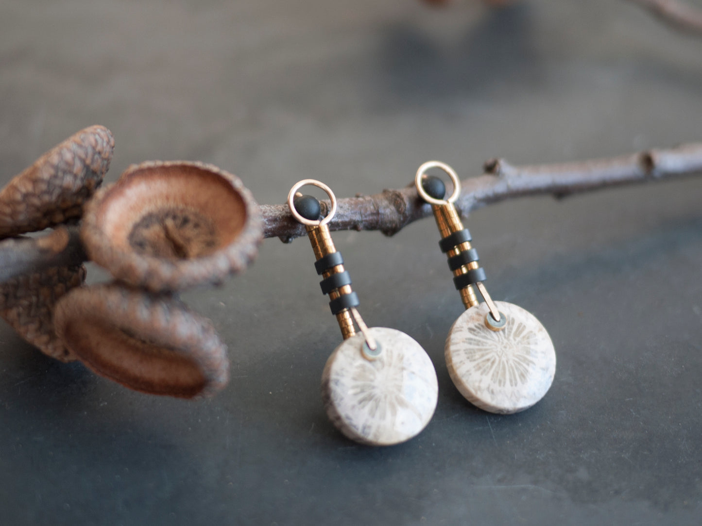 Circle Motif Fossil Coral Post Earrings