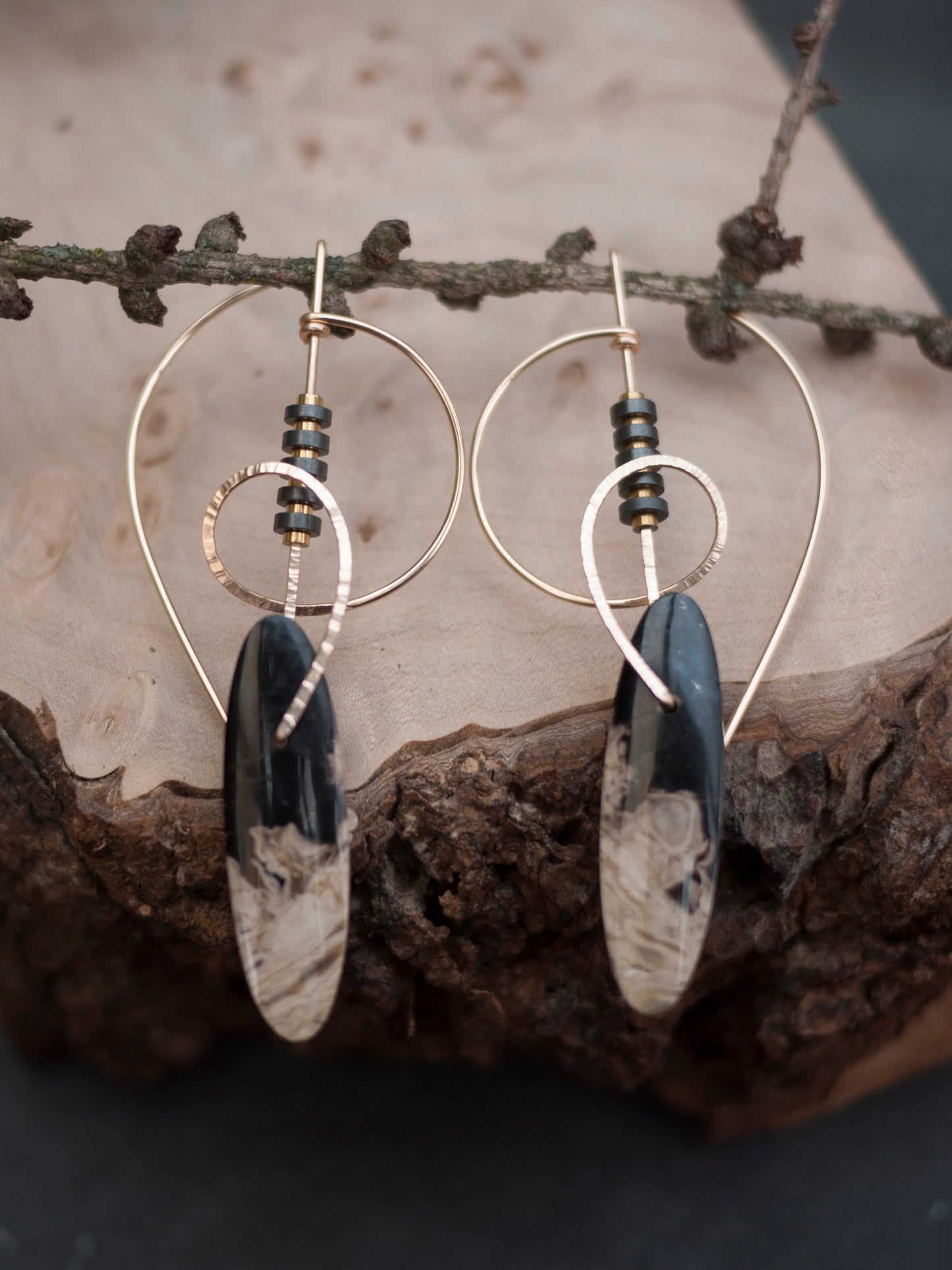 Abstract Swirl Petrified Palm Root Earrings