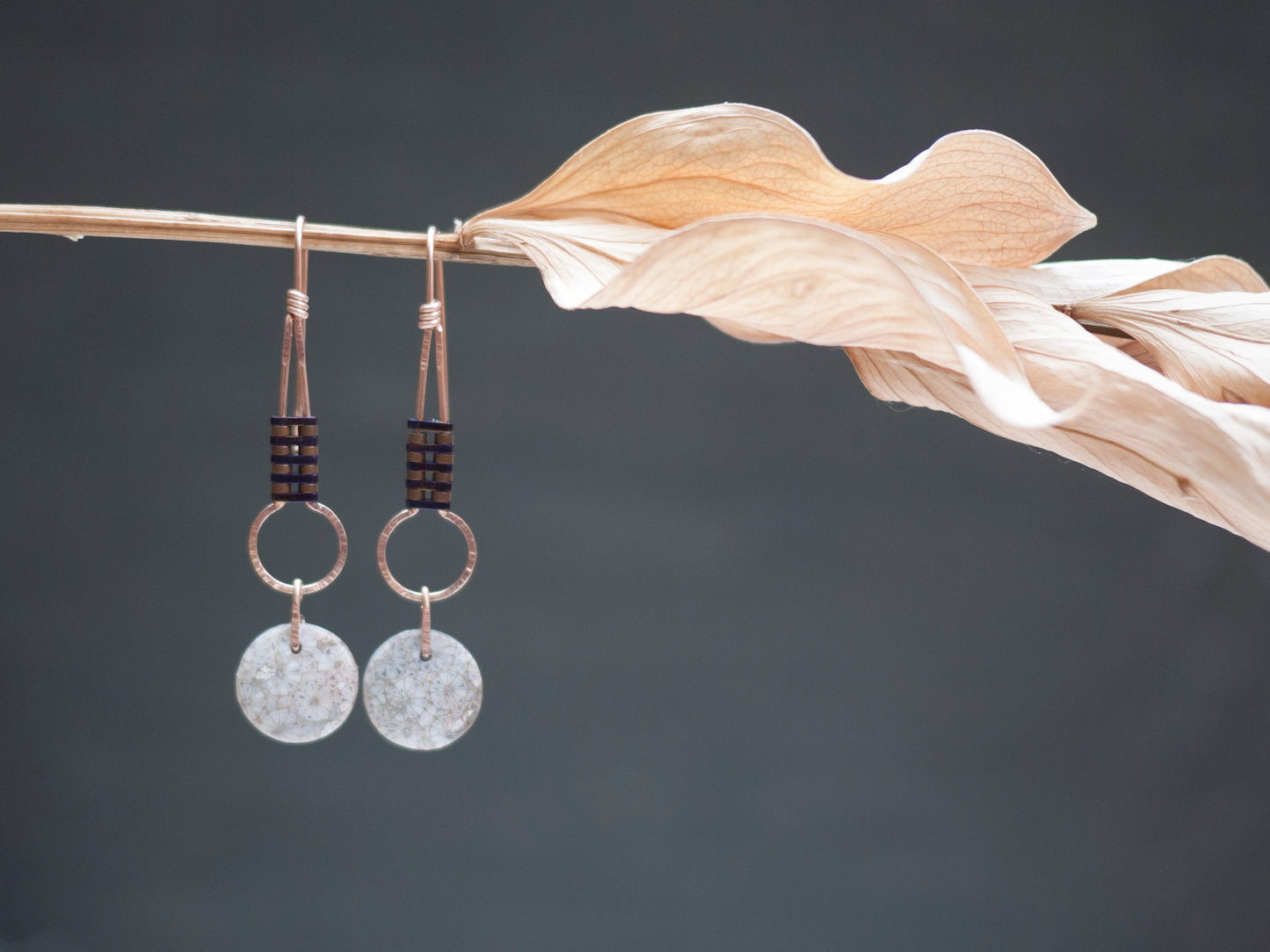 Dainty Circle Fossil Coral Drop Earrings