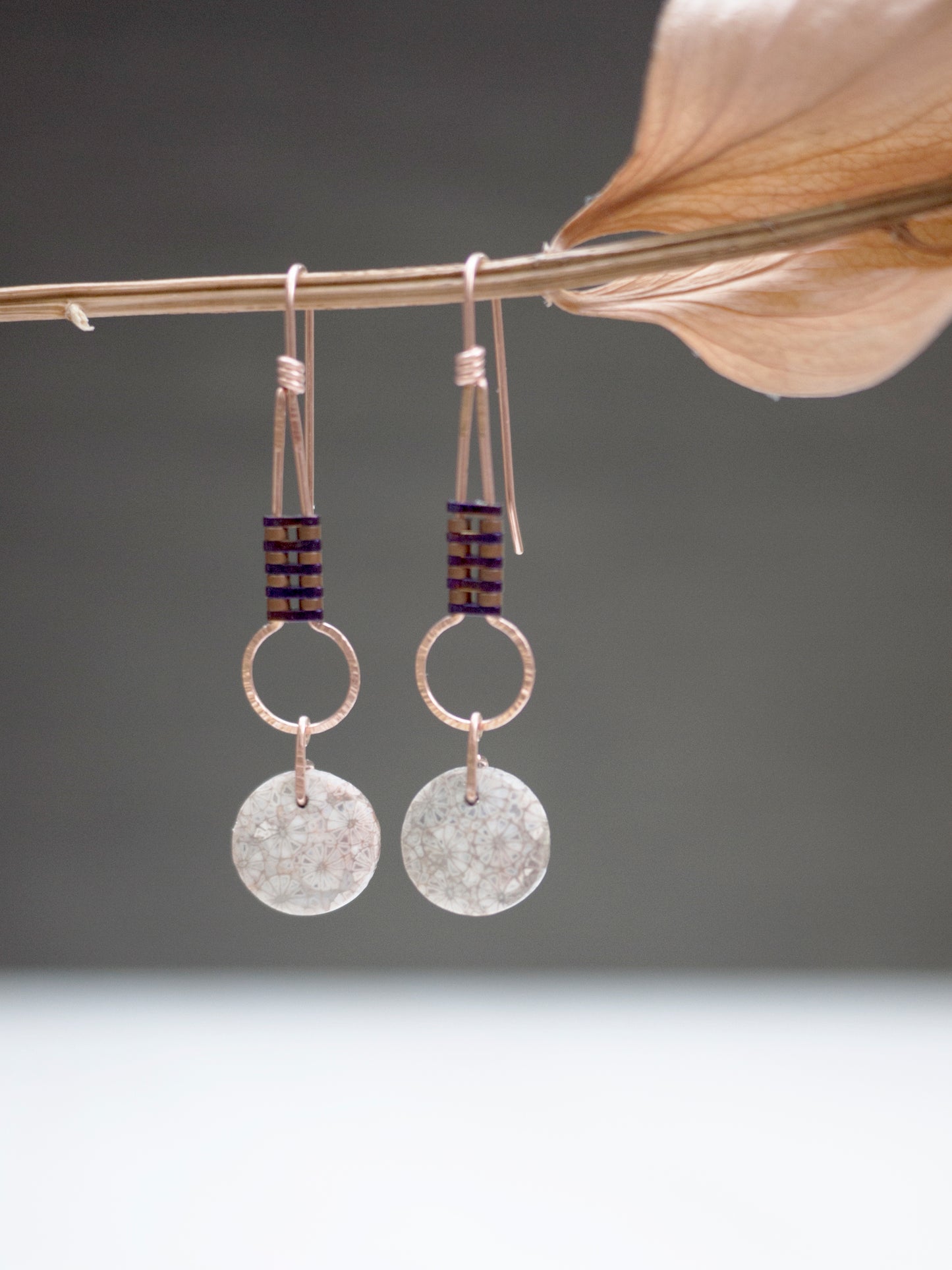 Dainty Circle Fossil Coral Drop Earrings