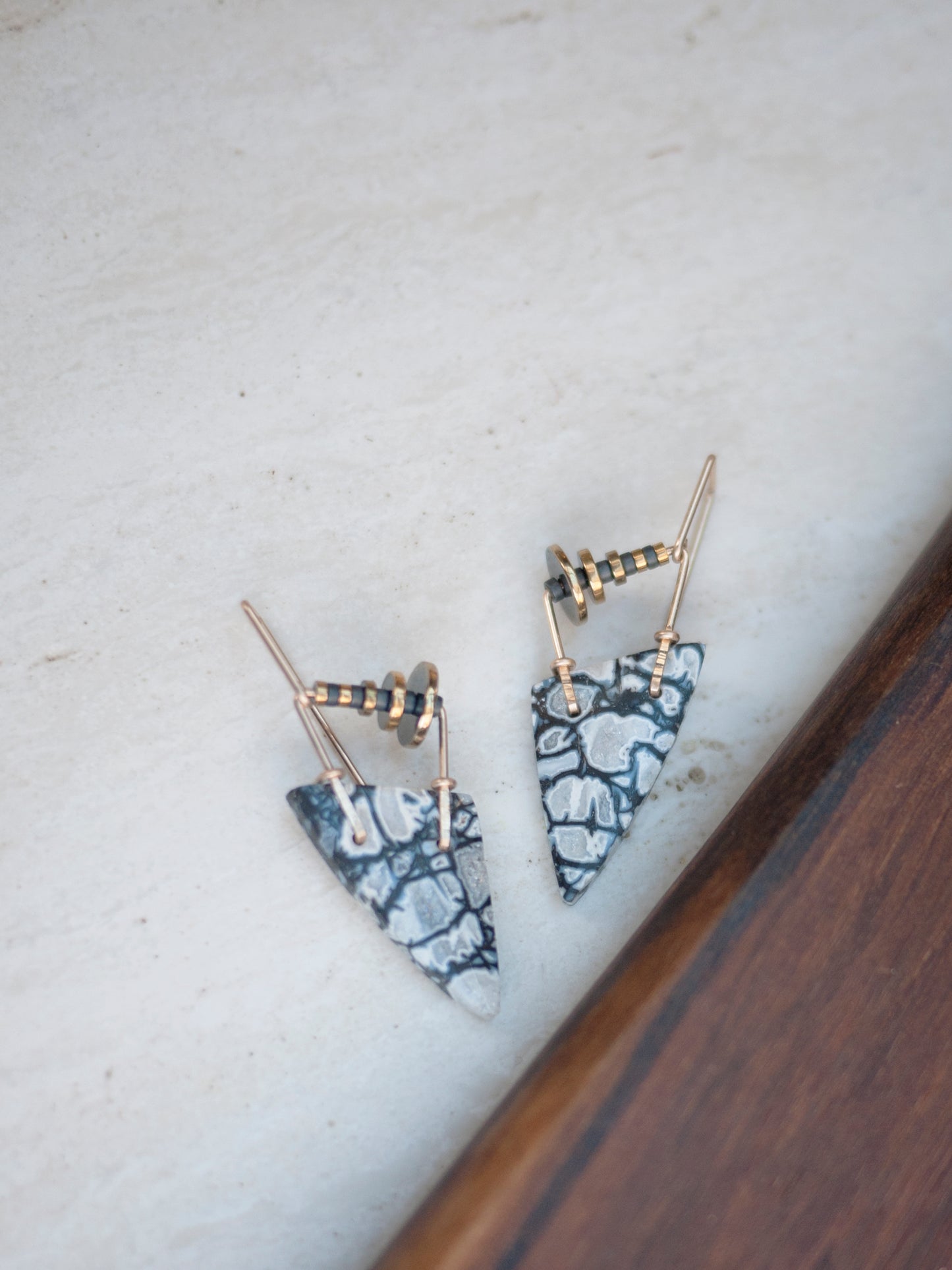 Petrified Palmwood Dangle Earrings