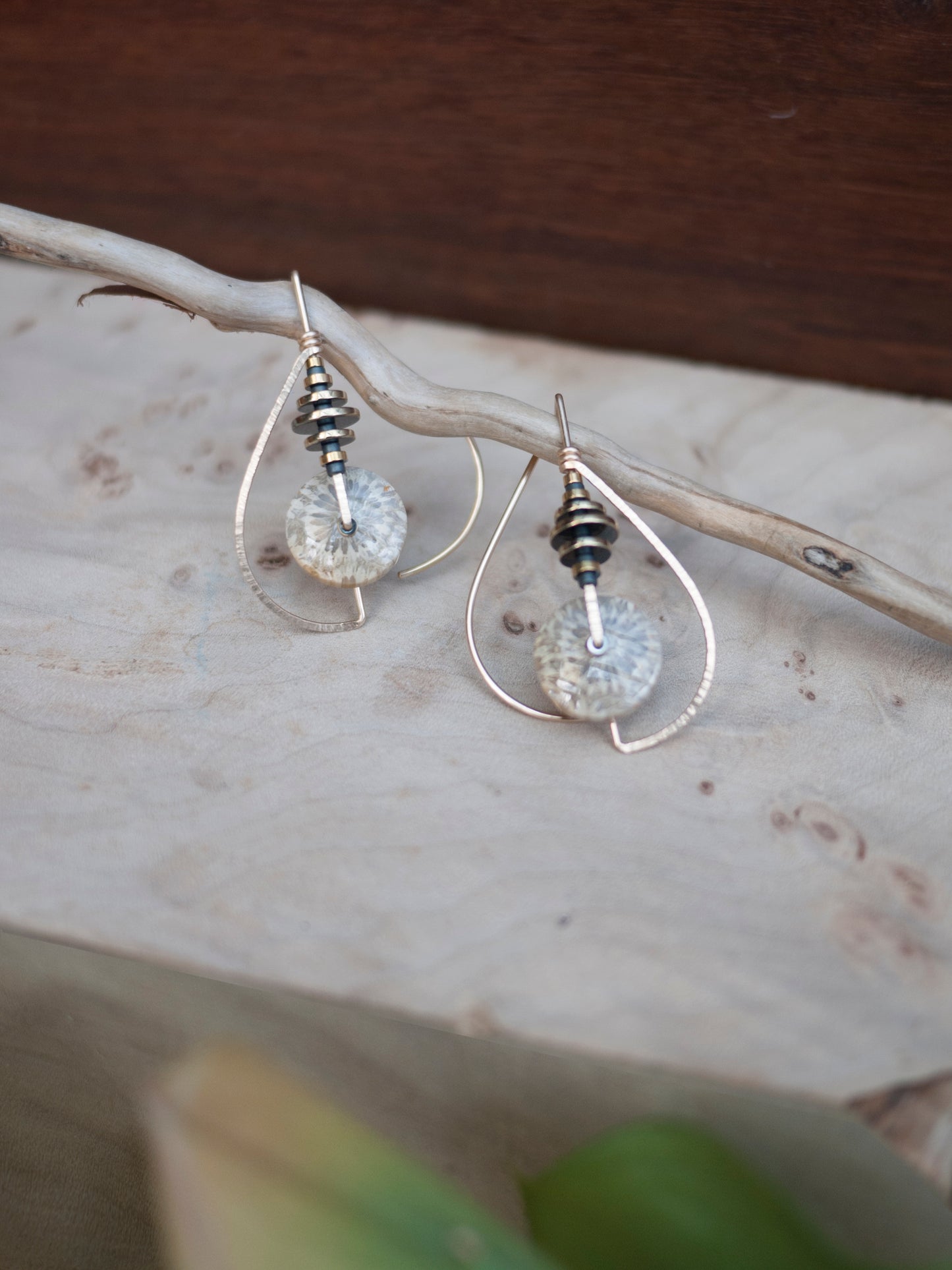 Fossil Coral Circle Sculptural Earrings