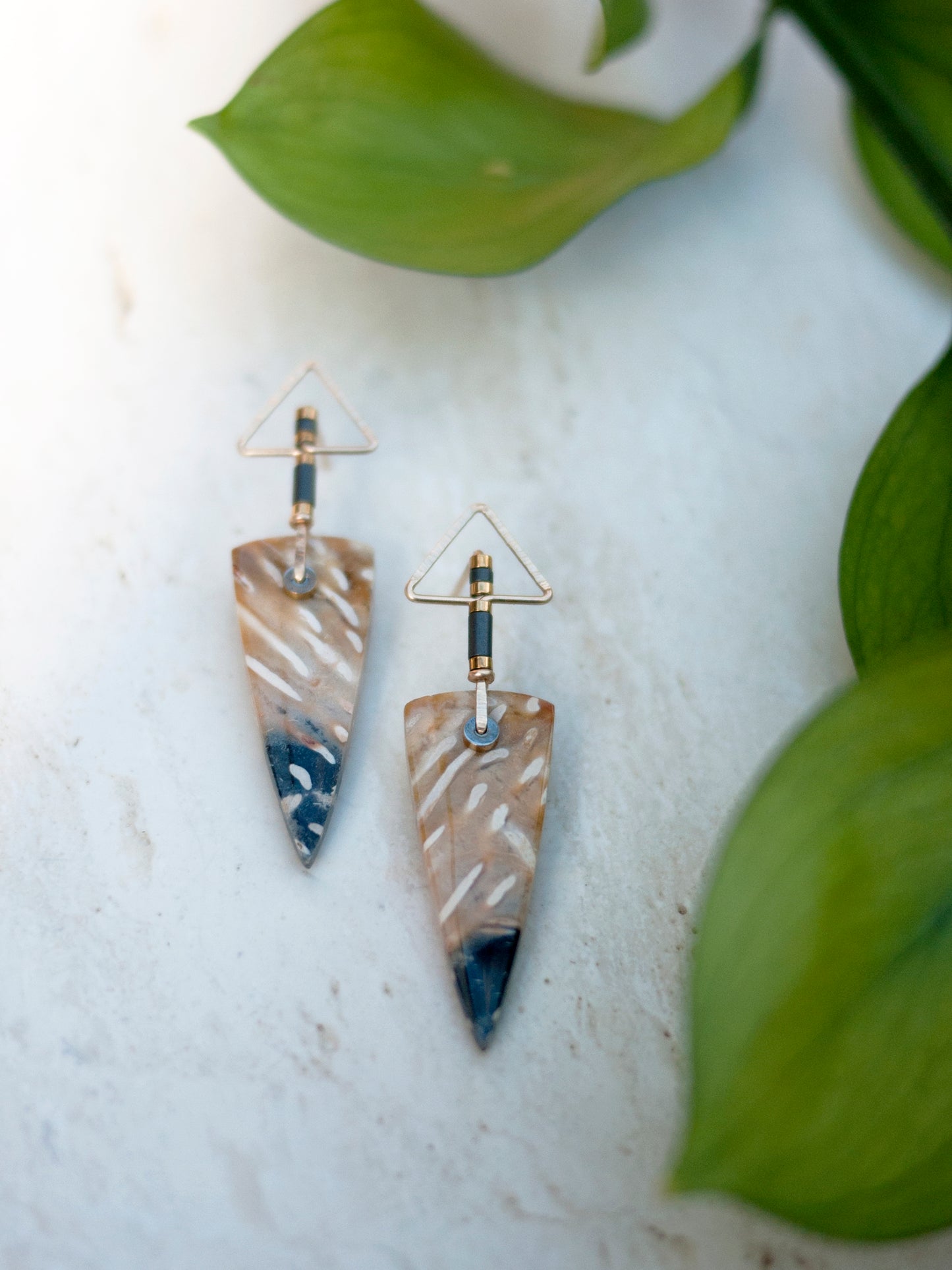Petrified Palm Wood Triangle Post Earrings
