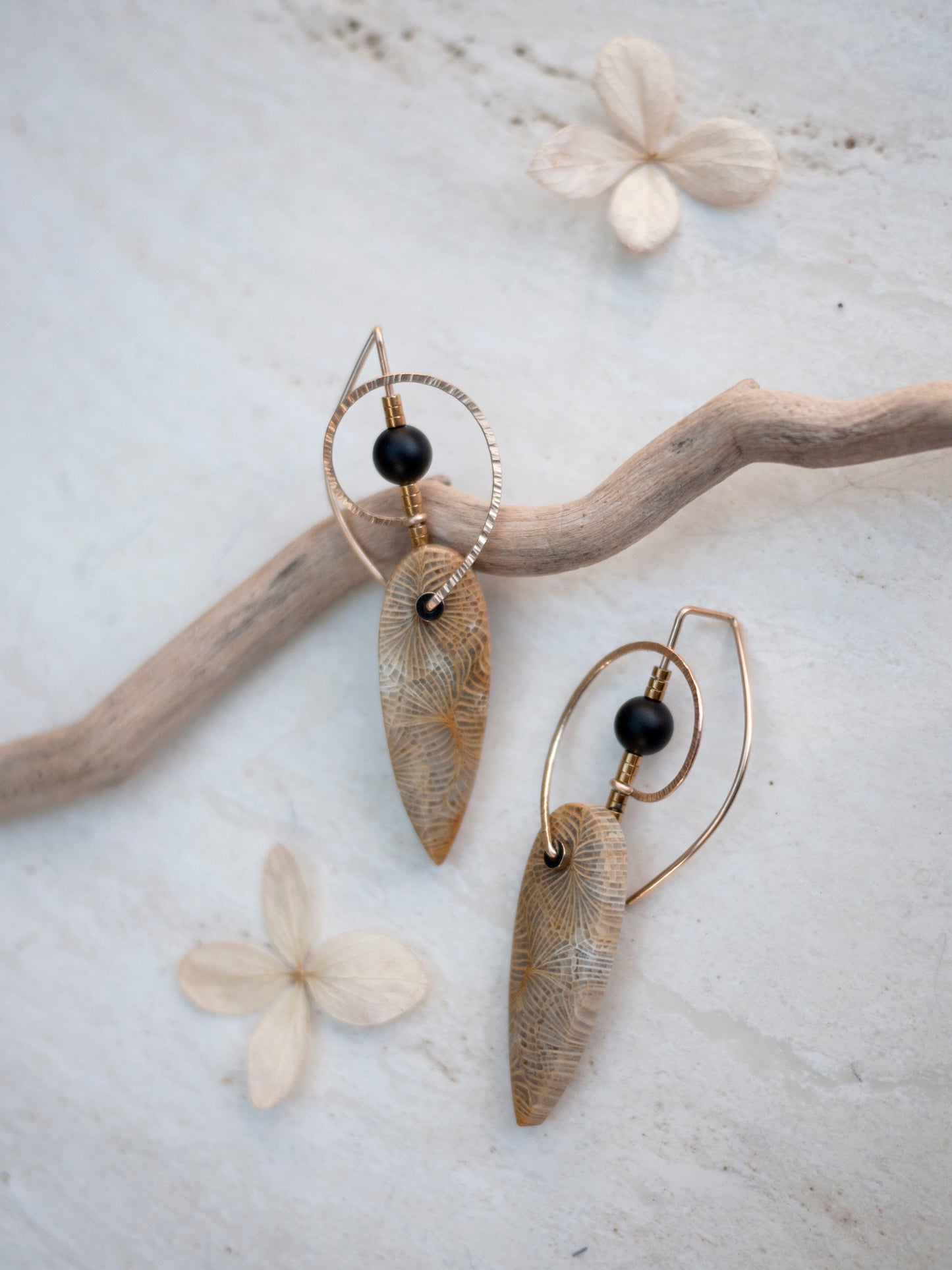 Sculptural Swirl Fossil Coral Earrings