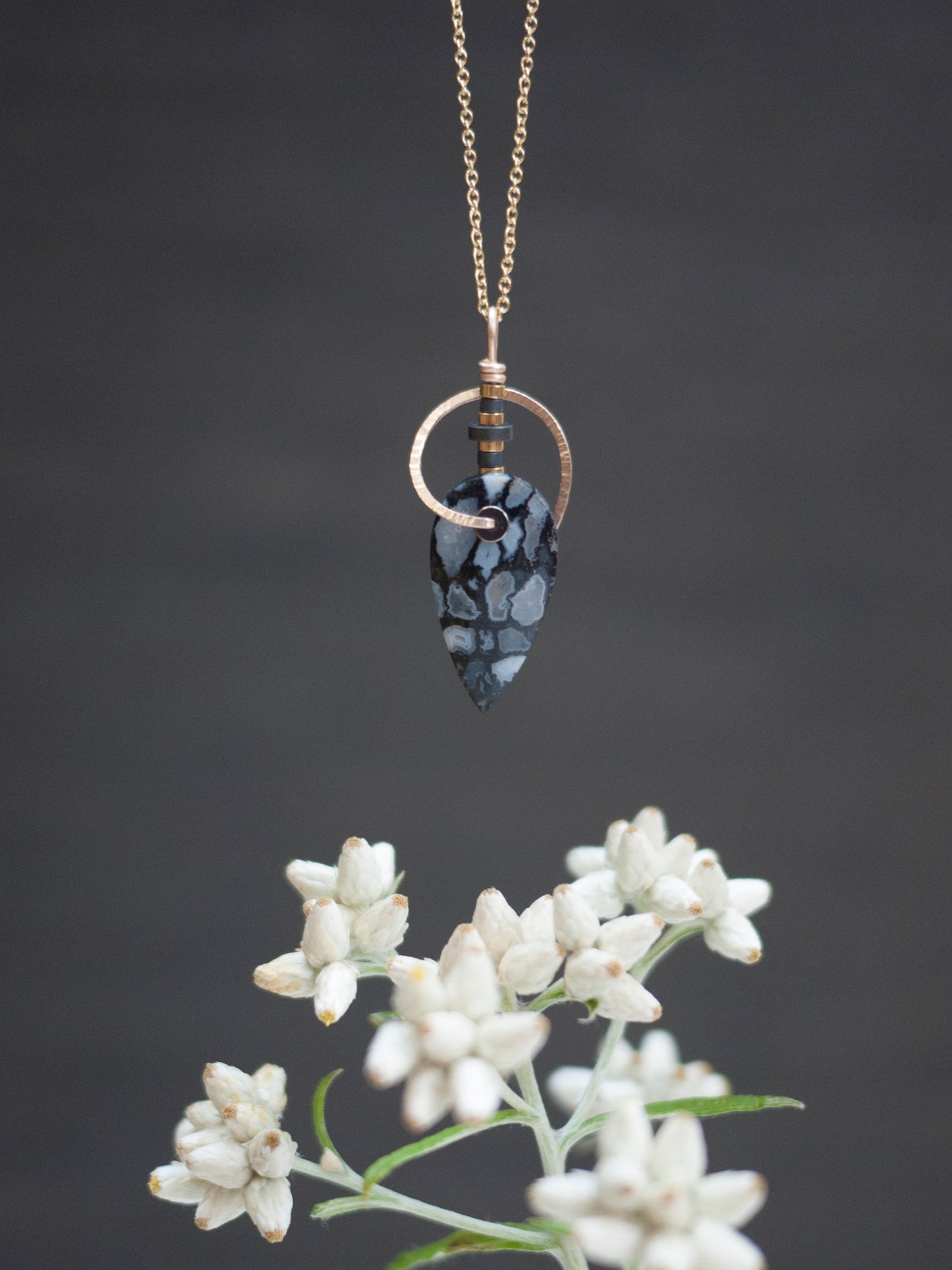 Nautilus Shaped Petrified Palmwood Pendant